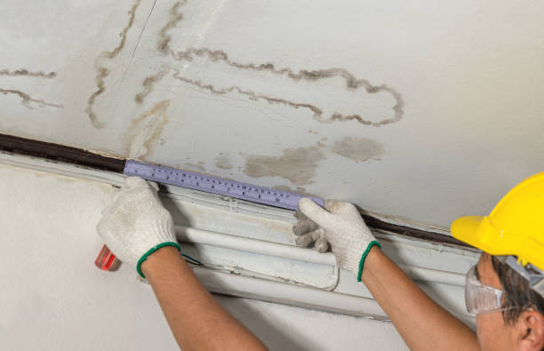 Reliable Mold Remediation contractor in Fort Leavenworth, KS by Water Damage Irwin